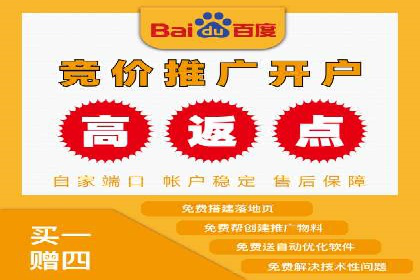 百度品牌广告的创意与执行案例